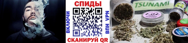 купить  цена  Верхняя Пышма  БУТИРАТ буратино 