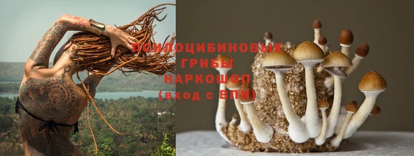 прущие крисы Бородино