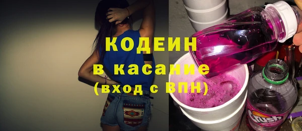 шишки Верхний Тагил
