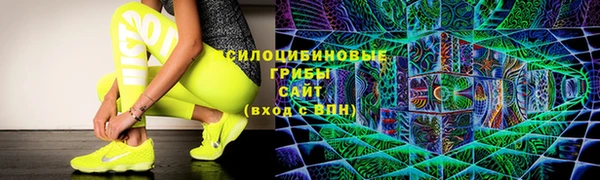 шишки Верхний Тагил