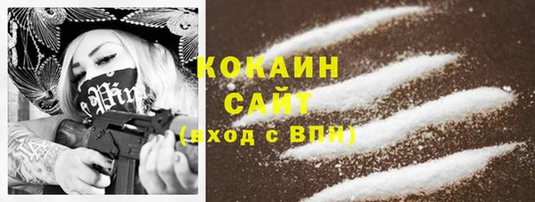 прущие крисы Бородино