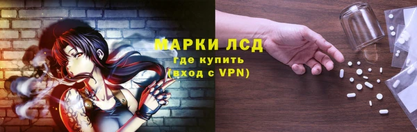 прущие крисы Бородино